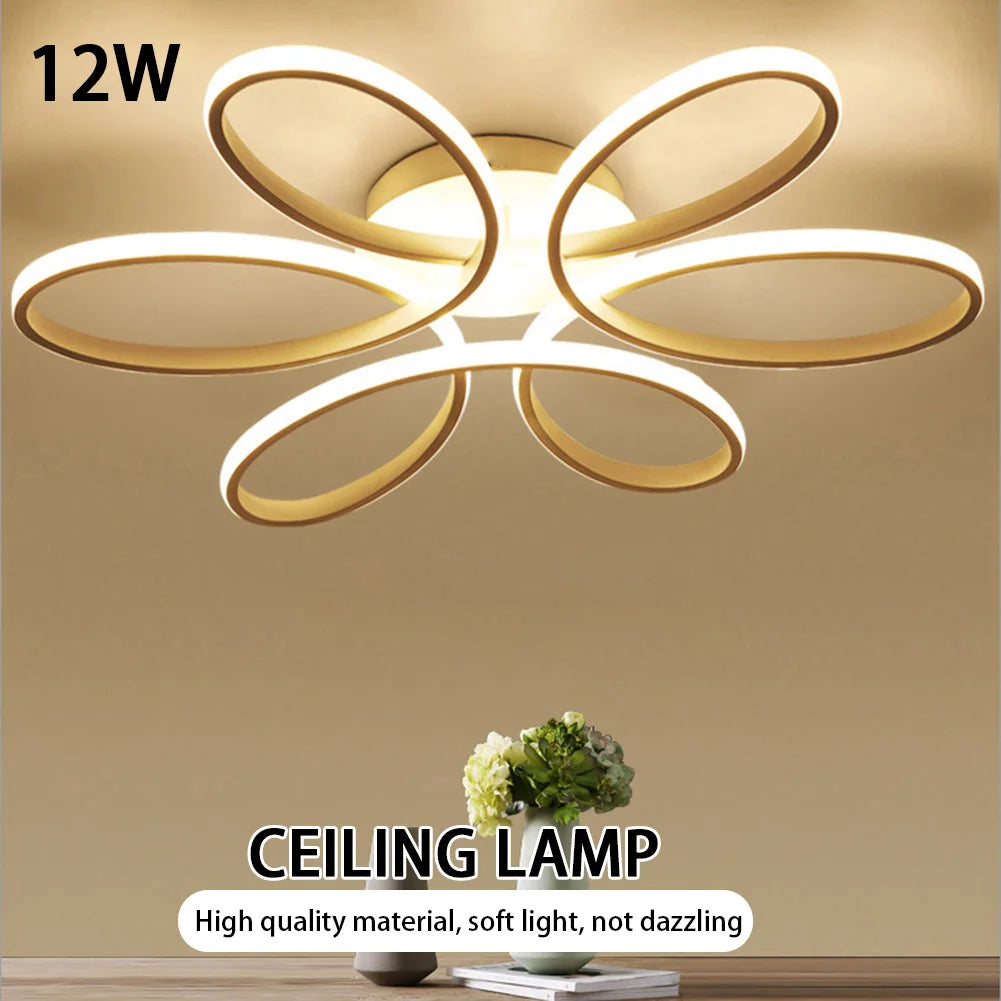 Modern LED Ceiling Light – Versatile Lighting for Hallways, Bedrooms, and More
