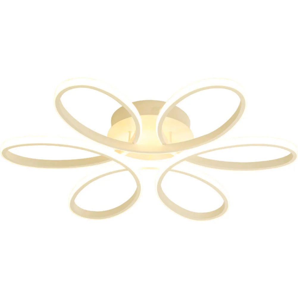 Modern LED Ceiling Light – Versatile Lighting for Hallways, Bedrooms, and More