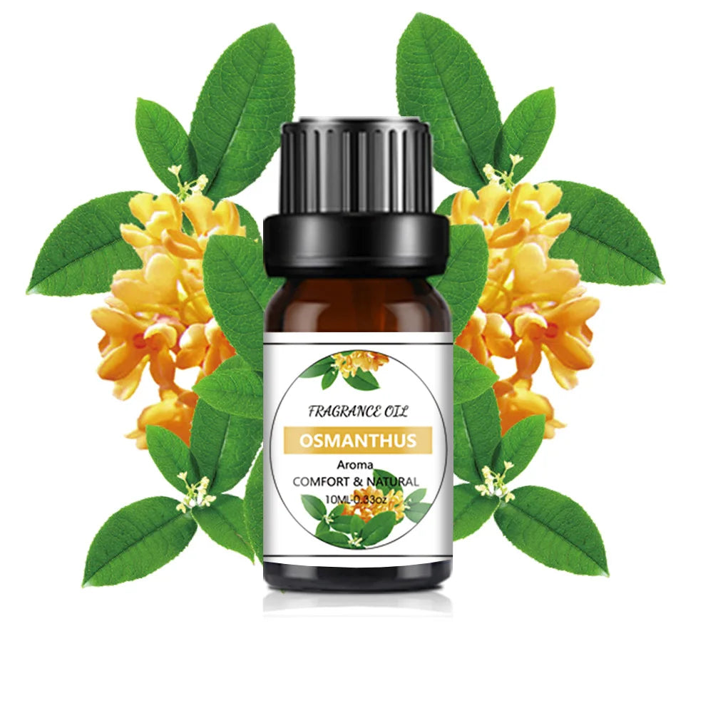 Aceite Esencial Orgánico 10ml - 33 Sabores para Aromaterapia, Velas, Jabones y Más