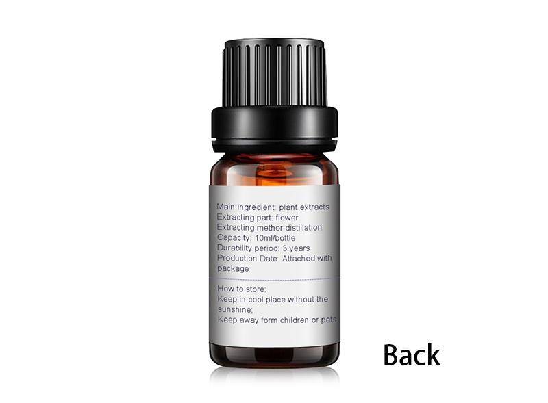 Essential Oils for Diffuser - Set of 6 Aromatherapy and Humidifier Scents